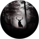 Yorum Yok profil fotoğrafı