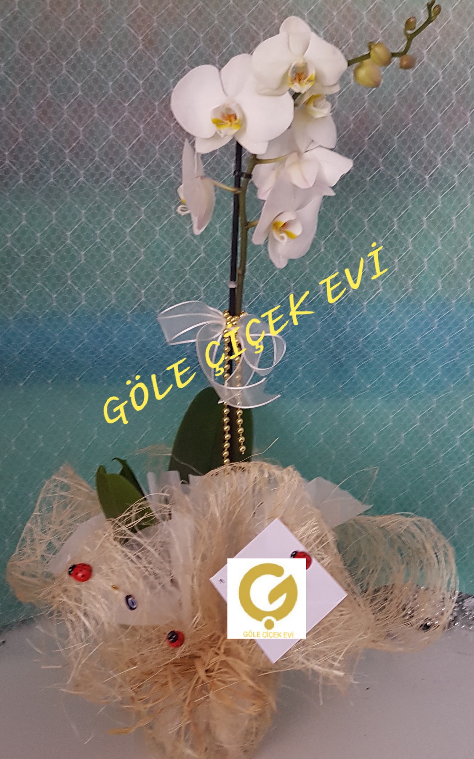 GÖLE ÇİÇEK EVİ VE ORGANİZASYON