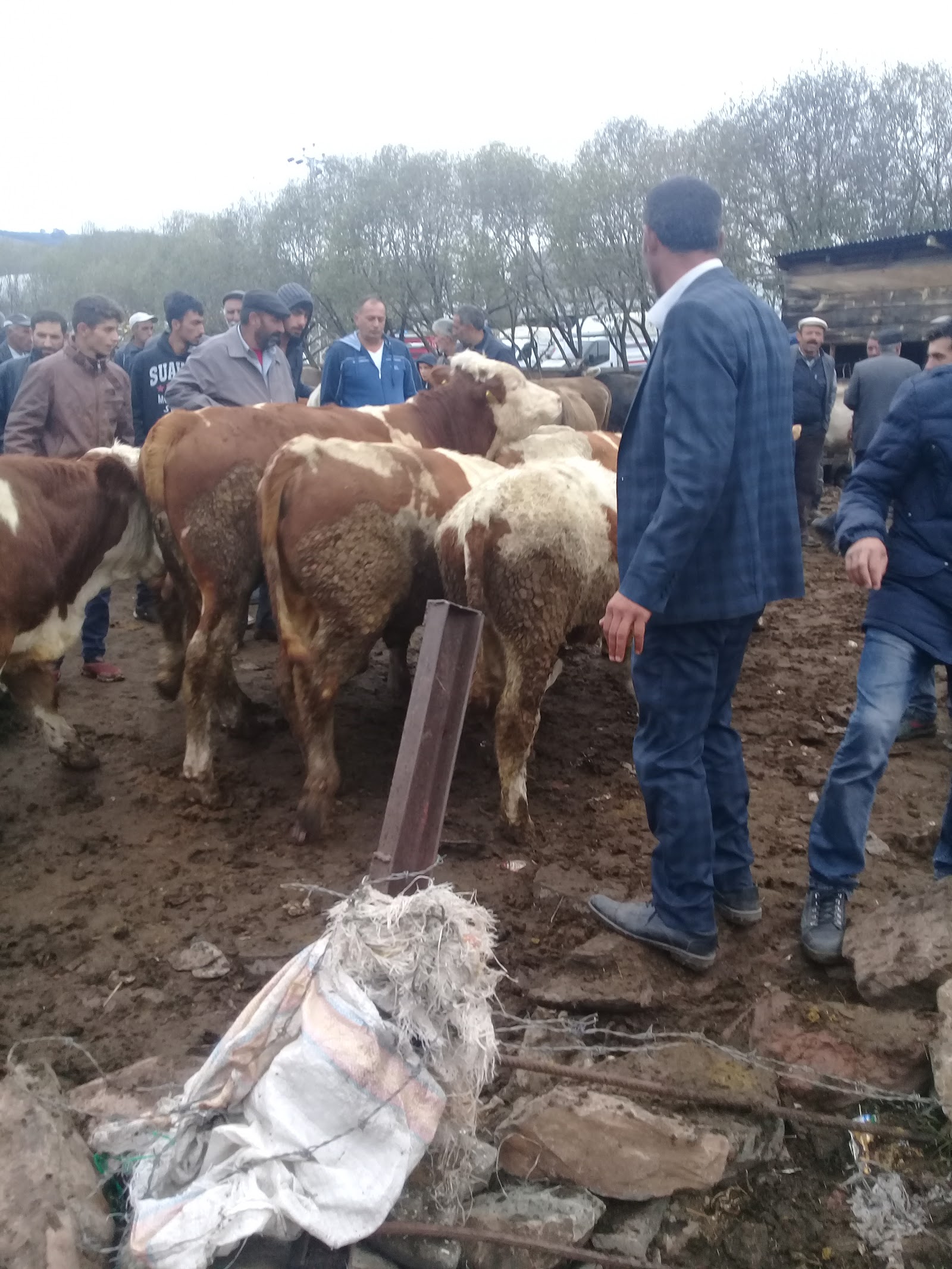 Lavinya Çiçekçilik