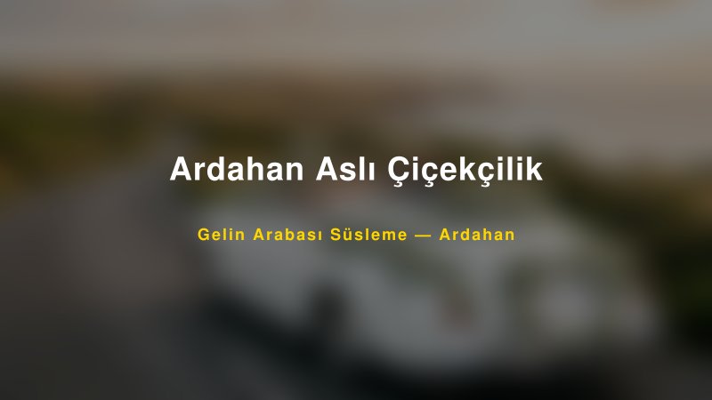 Ardahan Aslı Çiçekçilik Gelin Arabası Süsleme Fiyatları — 1